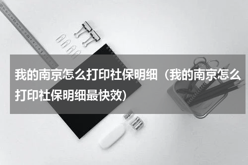 我的南京怎么打印社保明细（我的南京怎么打印社保明细最快效）