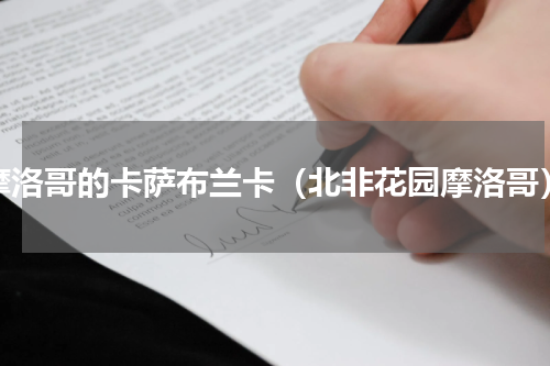 摩洛哥的卡萨布兰卡（北非花园摩洛哥）