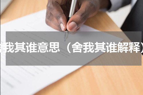 舍我其谁意思（舍我其谁解释）