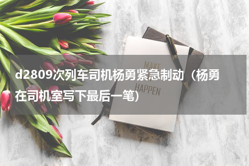 d2809次列车司机杨勇紧急制动（杨勇在司机室写下最后一笔）