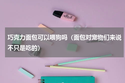 巧克力面包可以喂狗吗（面包对宠物们来说不只是吃的）