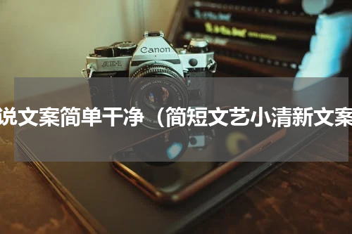 说说文案简单干净（简短文艺小清新文案）