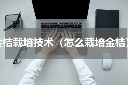 金桔栽培技术（怎么栽培金桔）