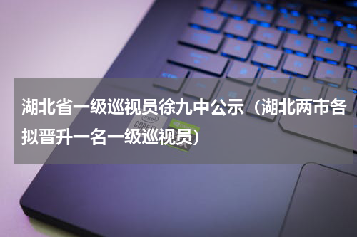 湖北省一级巡视员徐九中公示（湖北两市各拟晋升一名一级巡视员）