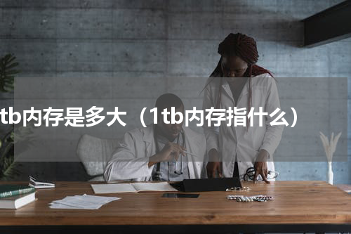 1tb内存是多大（1tb内存指什么）