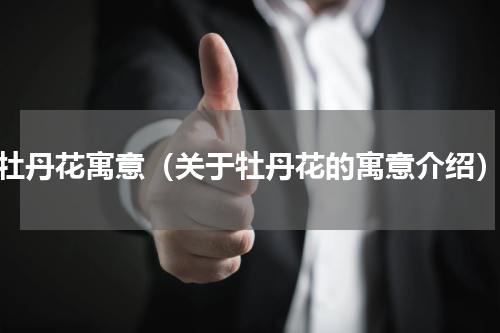 牡丹花寓意（关于牡丹花的寓意介绍）