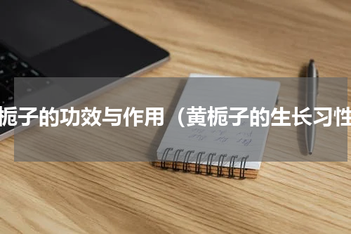 黄栀子的功效与作用（黄栀子的生长习性）