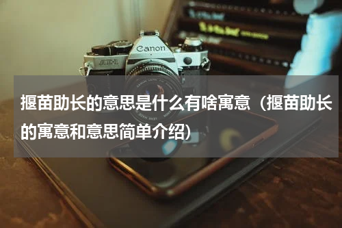 揠苗助长的意思是什么有啥寓意（揠苗助长的寓意和意思简单介绍）