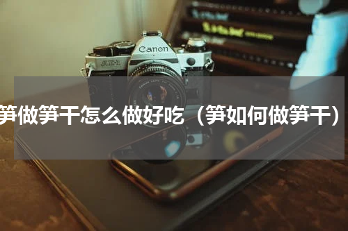 笋做笋干怎么做好吃（笋如何做笋干）