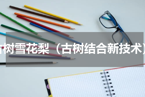 古树雪花梨（古树结合新技术）