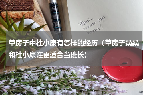 草房子中杜小康有怎样的经历（草房子桑桑和杜小康谁更适合当班长）