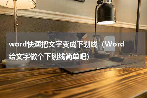 word快速把文字变成下划线（Word给文字做个下划线简单吧）