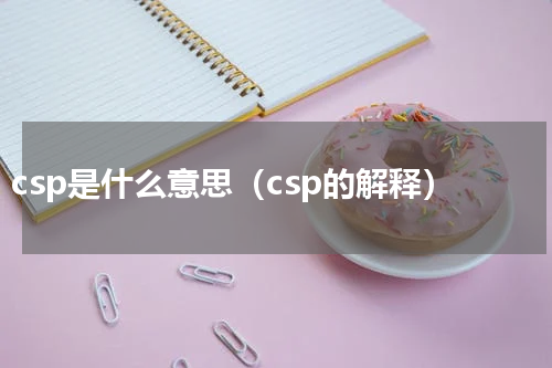 csp是什么意思（csp的解释）