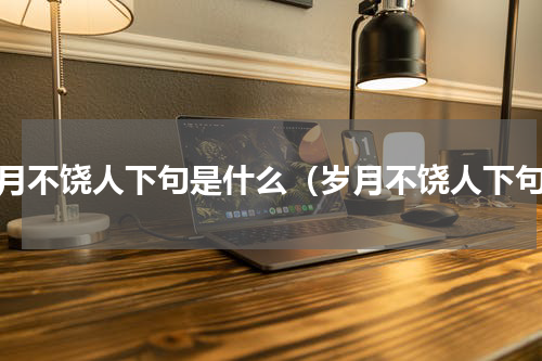 岁月不饶人下句是什么（岁月不饶人下句）