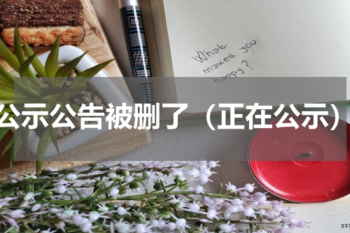 公示公告被删了（正在公示）