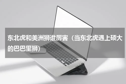 东北虎和美洲狮谁厉害（当东北虎遇上硕大的巴巴里狮）