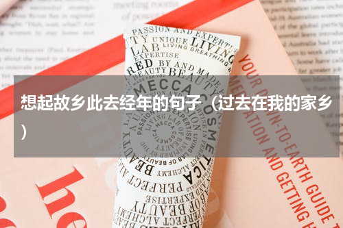 想起故乡此去经年的句子（过去在我的家乡）