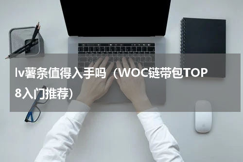 lv薯条值得入手吗（WOC链带包TOP8入门推荐）