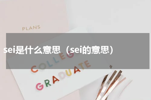 sei是什么意思（sei的意思）