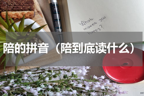 陪的拼音（陪到底读什么）