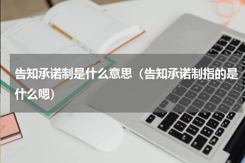 告知承诺制是什么意思（告知承诺制指的是什么嗯）