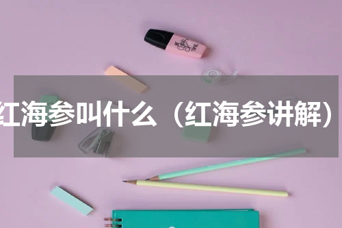 红海参叫什么（红海参讲解）