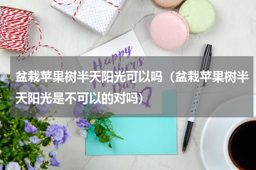 盆栽苹果树半天阳光可以吗（盆栽苹果树半天阳光是不可以的对吗）