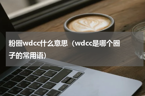 粉圈wdcc什么意思（wdcc是哪个圈子的常用语）
