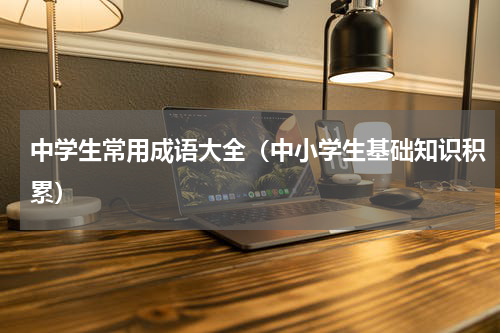 中学生常用成语大全（中小学生基础知识积累）