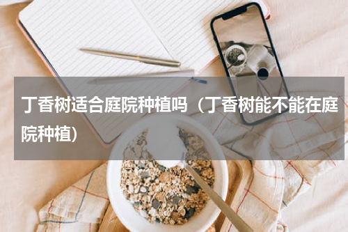丁香树适合庭院种植吗（丁香树能不能在庭院种植）