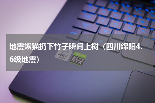 地震熊猫扔下竹子瞬间上树（四川绵阳4.6级地震）