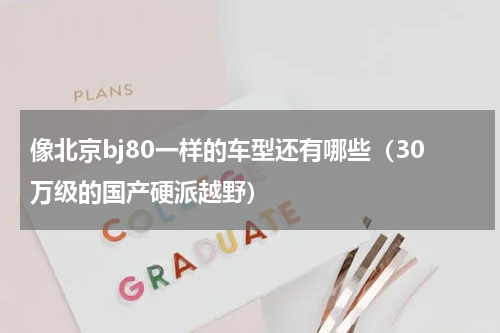 像北京bj80一样的车型还有哪些（30万级的国产硬派越野）