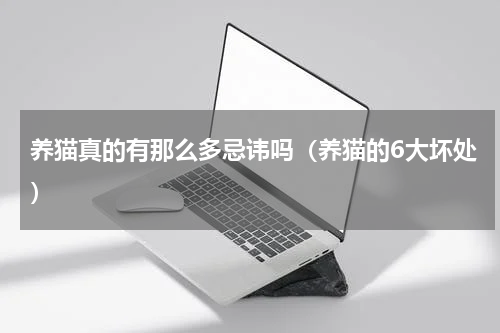 养猫真的有那么多忌讳吗（养猫的6大坏处）