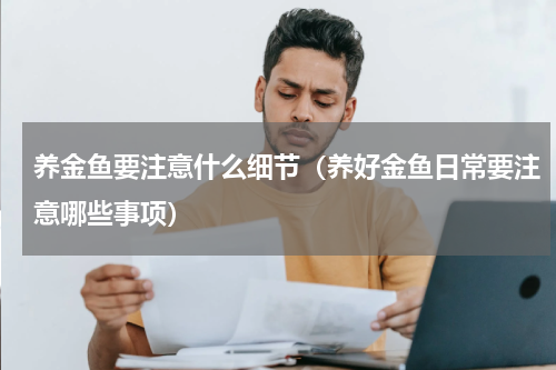 养金鱼要注意什么细节（养好金鱼日常要注意哪些事项）