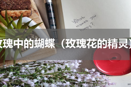 玫瑰中的蝴蝶（玫瑰花的精灵）