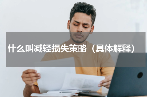什么叫减轻损失策略（具体解释）