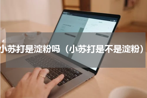 小苏打是淀粉吗（小苏打是不是淀粉）
