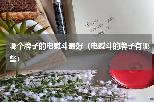 哪个牌子的电熨斗最好（电熨斗的牌子有哪些）