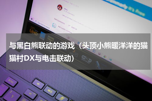 与黑白熊联动的游戏（头顶小熊暖洋洋的猫猫村DX与电击联动）