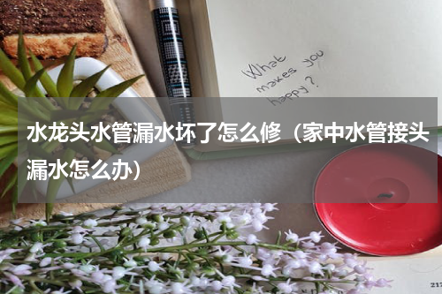 水龙头水管漏水坏了怎么修（家中水管接头漏水怎么办）