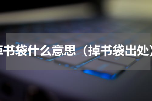 掉书袋什么意思（掉书袋出处）