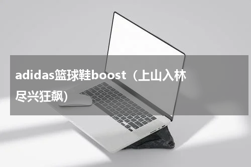 adidas篮球鞋boost（上山入林尽兴狂飙）