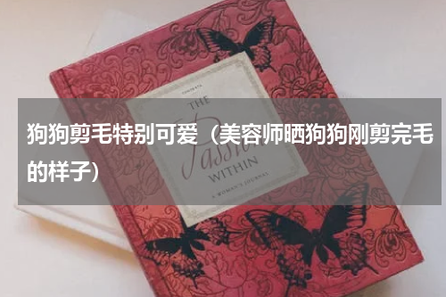 狗狗剪毛特别可爱（美容师晒狗狗刚剪完毛的样子）