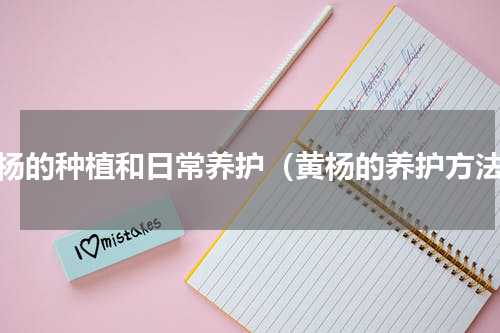 黄杨的种植和日常养护（黄杨的养护方法）