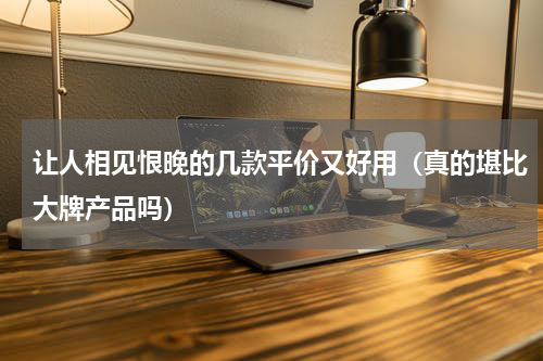 让人相见恨晚的几款平价又好用（真的堪比大牌产品吗）