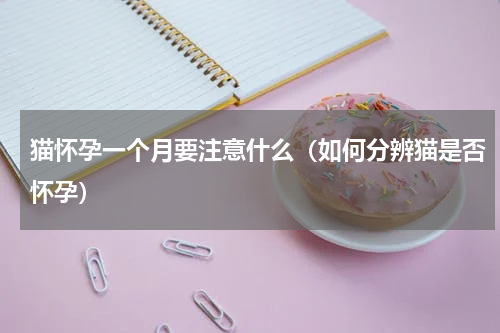 猫怀孕一个月要注意什么（如何分辨猫是否怀孕）