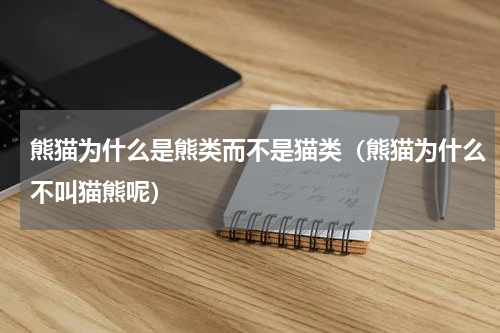 熊猫为什么是熊类而不是猫类（熊猫为什么不叫猫熊呢）