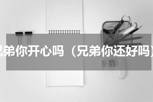 兄弟你开心吗（兄弟你还好吗）