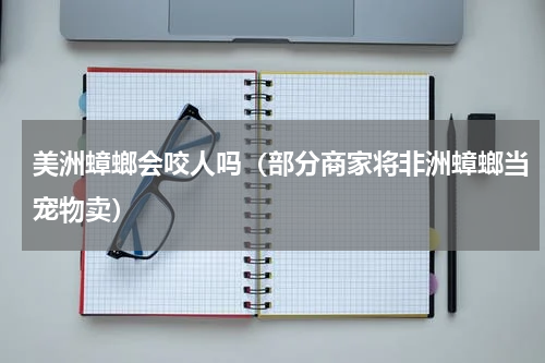 美洲蟑螂会咬人吗（部分商家将非洲蟑螂当宠物卖）