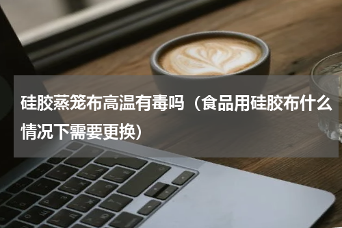 硅胶蒸笼布高温有毒吗（食品用硅胶布什么情况下需要更换）